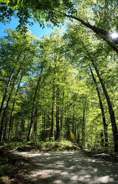 3491494400-14427739 Panorama.jpg - Noch'n Versuch über Stitching: selbst dieses Chaos aus 6 Bildern von unten nach oben setzt PTGui klaglos zusammen!